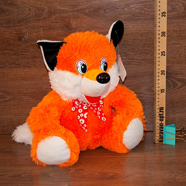 244251.jpg 244251.jpg