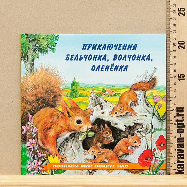 234236.jpg 234236.jpg