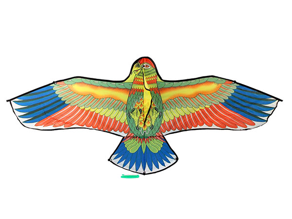 246466.jpg 246466.jpg