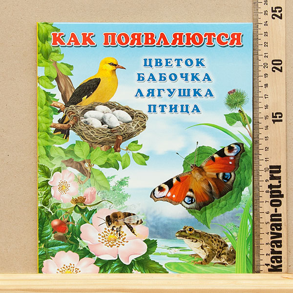 234235.jpg 234235.jpg