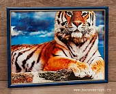 Постер 30х40 Тигр ПВХ