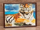Постер 30х40 Тигр ПВХ
