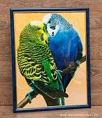 Постер 30х38 Попугаи ПВХ синяя