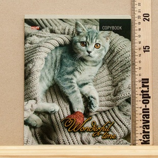 Тетрадь 48л. кл. "Котята и пледы" цветная мелованная обложка