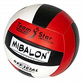 Мяч волейбольный №5 1 слойный 225г. MIBALON