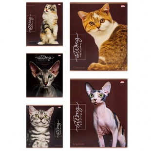 Тетрадь 48л. кл. "Благородные кошки" цветная мелованная обложка, 5 дизайнов