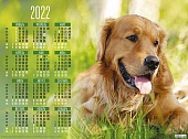 Календарь А2 2022 Собаки.. Хищный взгляд