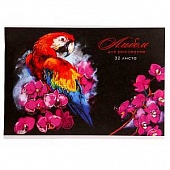 Альбом для рисования 32л. "Попугай на цветах" скрепка, мелованная обложка