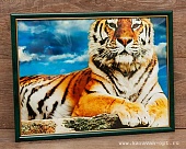 Постер 30х40 Тигр ПВХ зеленый