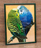 Постер 30х38 Попугаи ПВХ зеленая