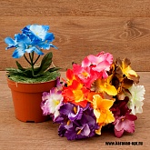 ����� ������� 5���. 20��. 9�����