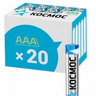 �/� ������ (����20)