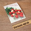 +.    20F-0674 