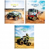  80. . "WORLD RALLY" 