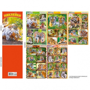 ������� � ���������� �6 "����"