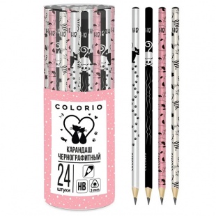 �������� ��������������� ���������� "Colorio" ��