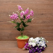 ����� ������ 9����� 58��.