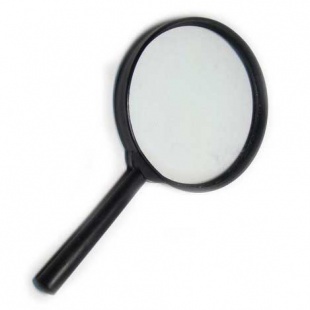 ���� 100��. � ����������