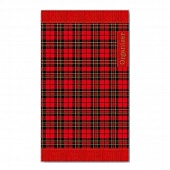 �������-���������� "���������" 9,5*16 ����������