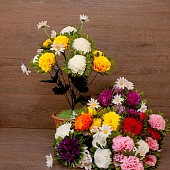 ����� �������� 9���. 55��.