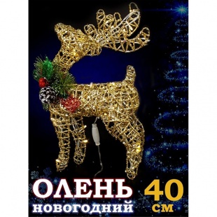 ����� ������������� �������� 40��.