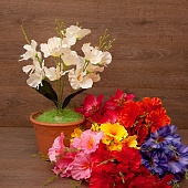 ����� ������� 5����� 50��.