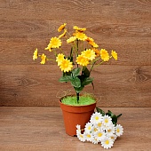 ����� ������� 6����� 35��.