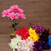 ����� ������ 6���. 37��.