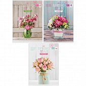  80. . 4 "Spring Air"