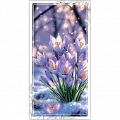 ������� ��� �����