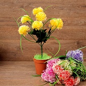 ����� ��� ������������ 7���.50��.