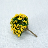 ������� �� ���������� "������" 6��.