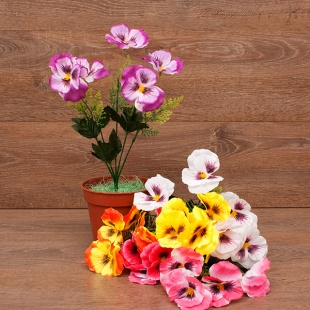 ����� ������� ������  5���. 35�� 4����