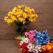 ����� ������ 11���. 60��.