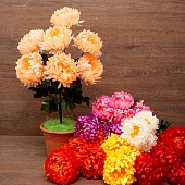 ����� ���������� 7���. 60��. 8�����