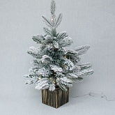 �.�. ���� � ����� �� ��������� � ��������� 45��.