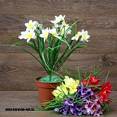 ����� ������� � ������� (������ �������������)  6����� 37��. 5�����