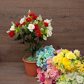 ����� ������ 10����� 20���. 53��. (�067) 8�����