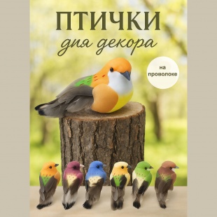 ������� �� ����������  �� ��������� "������"  8,5�3��. 6�����