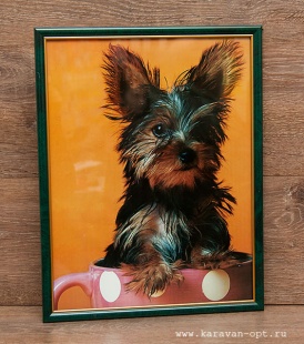 ������ 32�42 � ������������