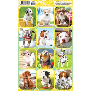 �������� �6 "������"