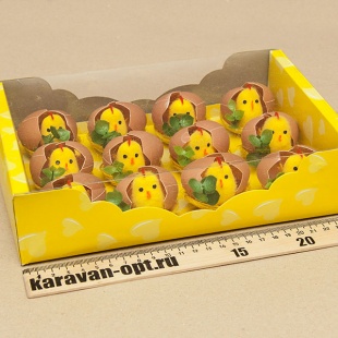 ������� ���������� ������� ����������� �� ������ � ������ 12��. � �������� 25*17��.