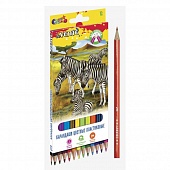 ��������� ������� 12��. deVente �������� ���