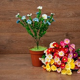 ����� ����������� ������� � ����� 5����� 35��. 9�����