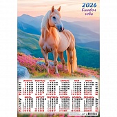  2 2026  .   