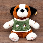 ���. ������ � ������ 45��.