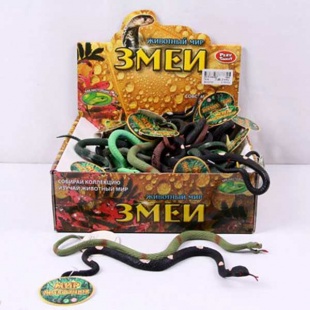 ���� 22*20*7 ��, ����� � ������������