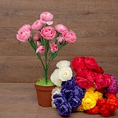 ����� ������� 7���. 50��.