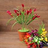 ����� ������ 7����� 38��.