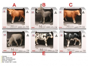 �������� 6����� � ������� 10*7*7,5��.